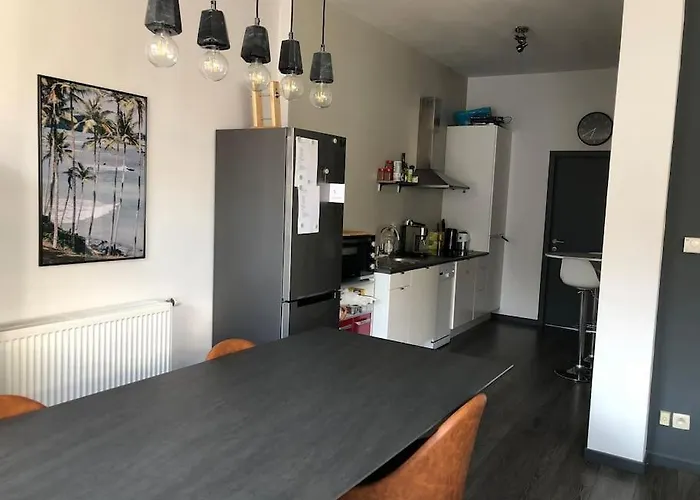 Appartement Mooi Op Wandelafstand Het Strand. Blankenberge